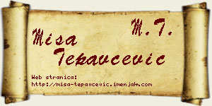 Miša Tepavčević vizit kartica